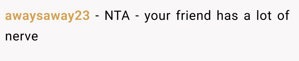 awaysaway23 − NTA - your friend has a lot of nerve
