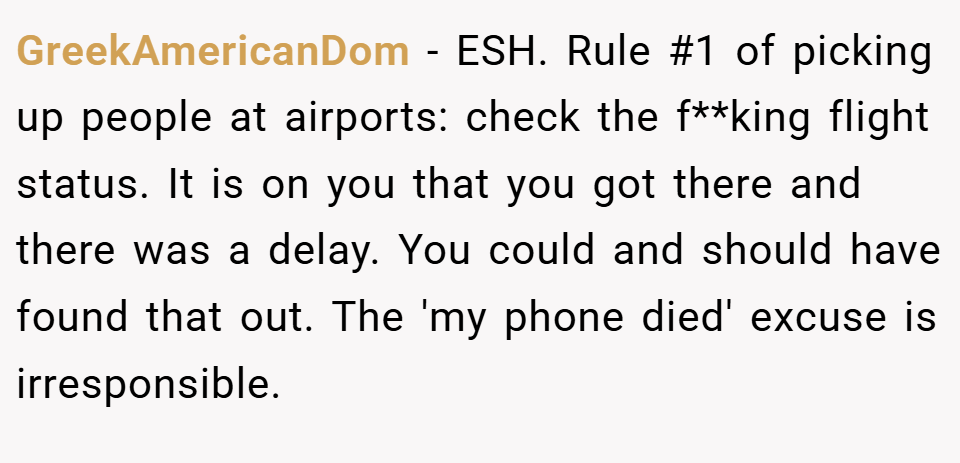 GreekAmericanDom − ESH. Rule #1 of picking up people at airports: check the f**king flight status. It is on you that you got there and there was a delay. You could and should have found that out. The 'my phone died' excuse is irresponsible.