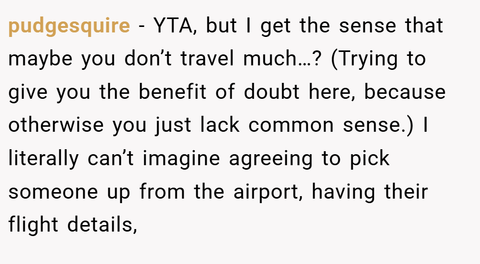 pudgesquire − YTA, but I get the sense that maybe you don’t travel much…? (Trying to give you the benefit of doubt here, because otherwise you just lack common sense.) I literally can’t imagine agreeing to pick someone up from the airport, having their flight details,