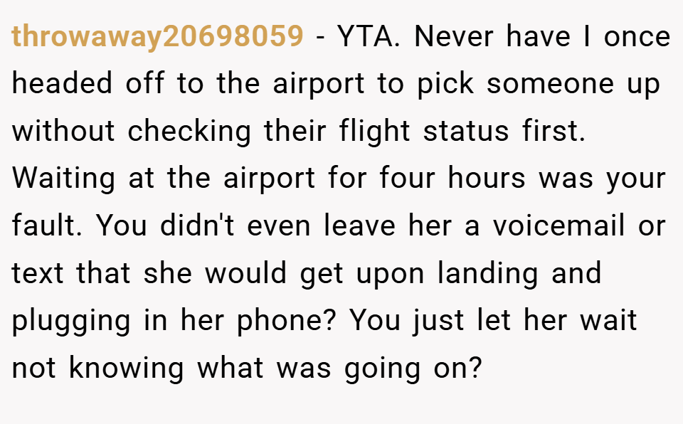 throwaway20698059 − YTA. Never have I once headed off to the airport to pick someone up without checking their flight status first. Waiting at the airport for four hours was your fault. You didn't even leave her a voicemail or text that she would get upon landing and plugging in her phone? You just let her wait not knowing what was going on?