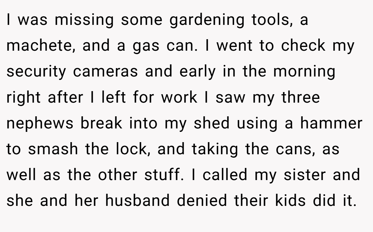 I was missing some gardening tools, a machete, and a gas can. I went to check my security cameras and early in the morning right after I left for work I saw my three nephews break into my shed using a hammer to smash the lock, and taking the cans, as well as the other stuff. I called my sister and she and her husband denied their kids did it.