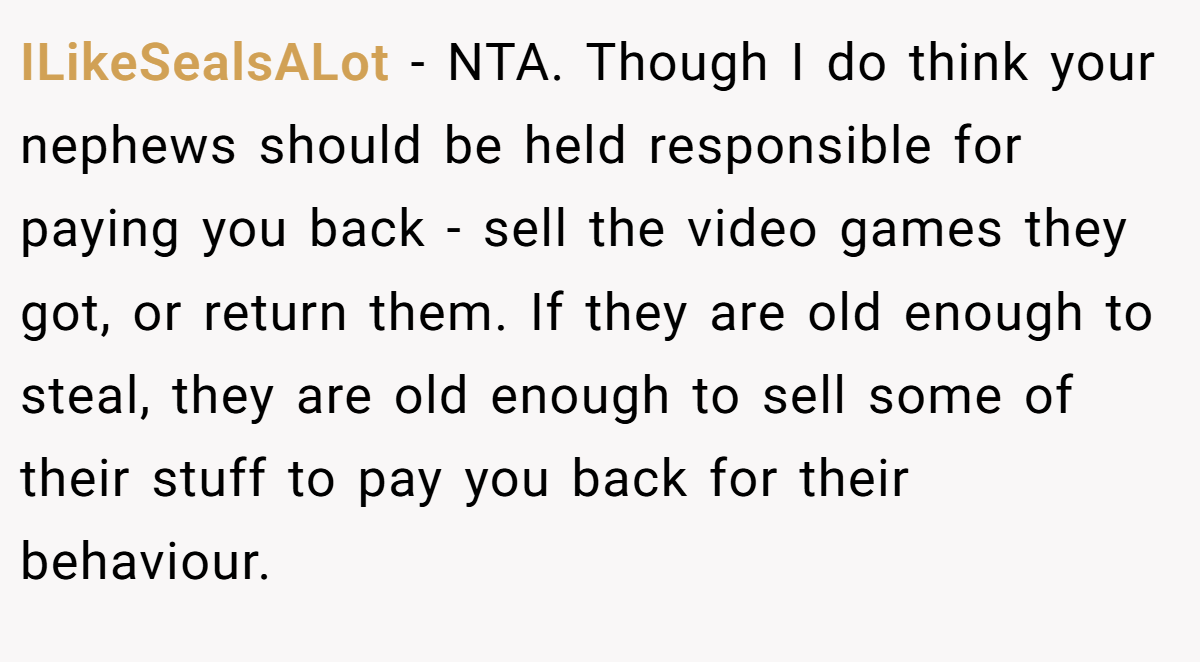 ILikeSealsALot − NTA. Though I do think your nephews should be held responsible for paying you back - sell the video games they got, or return them. If they are old enough to steal, they are old enough to sell some of their stuff to pay you back for their behaviour.