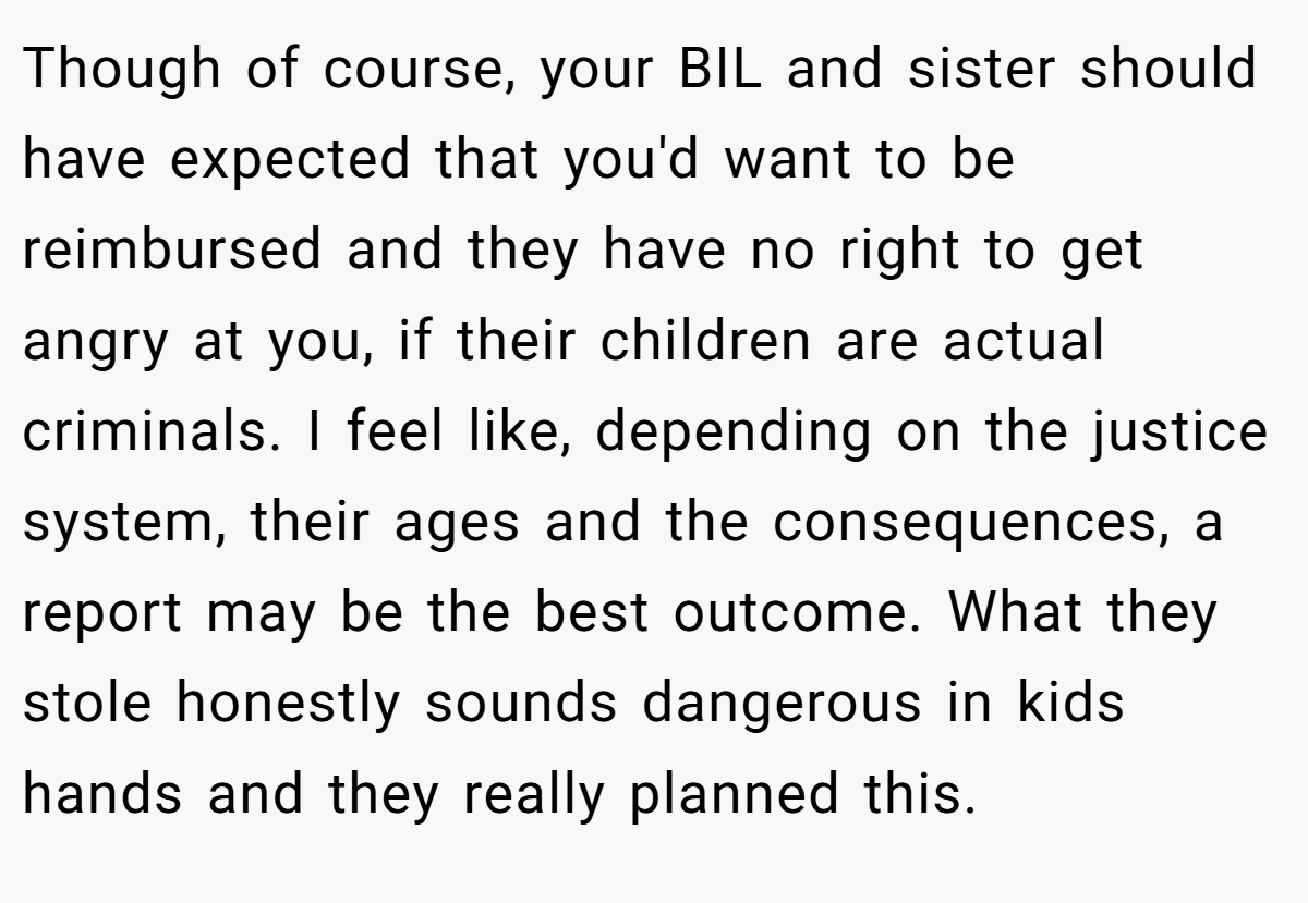 Though of course, your BIL and sister should have expected that you'd want to be reimbursed and they have no right to get angry at you, if their children are actual criminals. I feel like, depending on the justice system, their ages and the consequences, a report may be the best outcome. What they stole honestly sounds dangerous in kids hands and they really planned this.