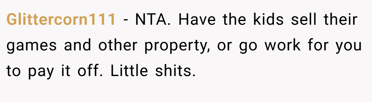 Glittercorn111 − NTA. Have the kids sell their games and other property, or go work for you to pay it off. Little shits.