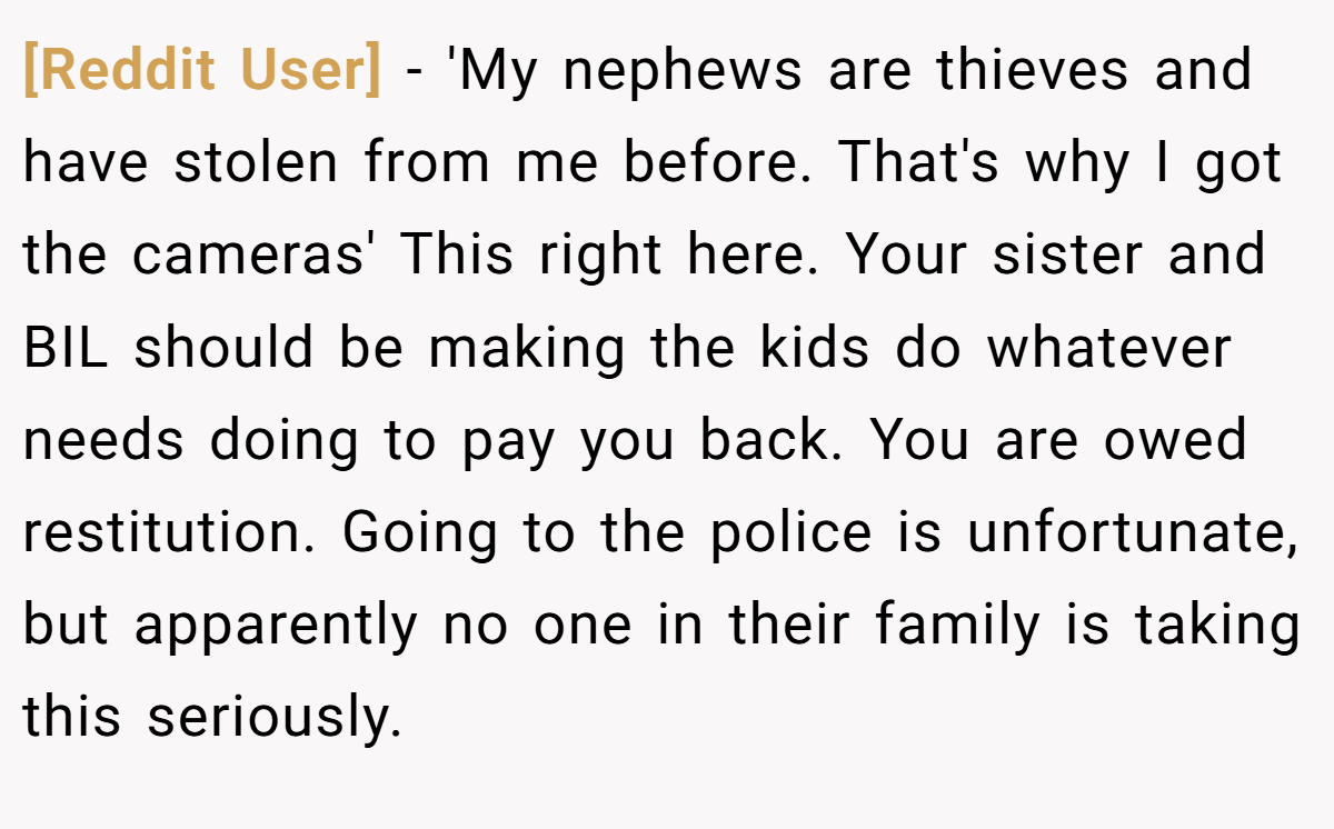 [Reddit User] − 'My nephews are thieves and have stolen from me before. That's why I got the cameras' This right here. Your sister and BIL should be making the kids do whatever needs doing to pay you back. You are owed restitution. Going to the police is unfortunate, but apparently no one in their family is taking this seriously.