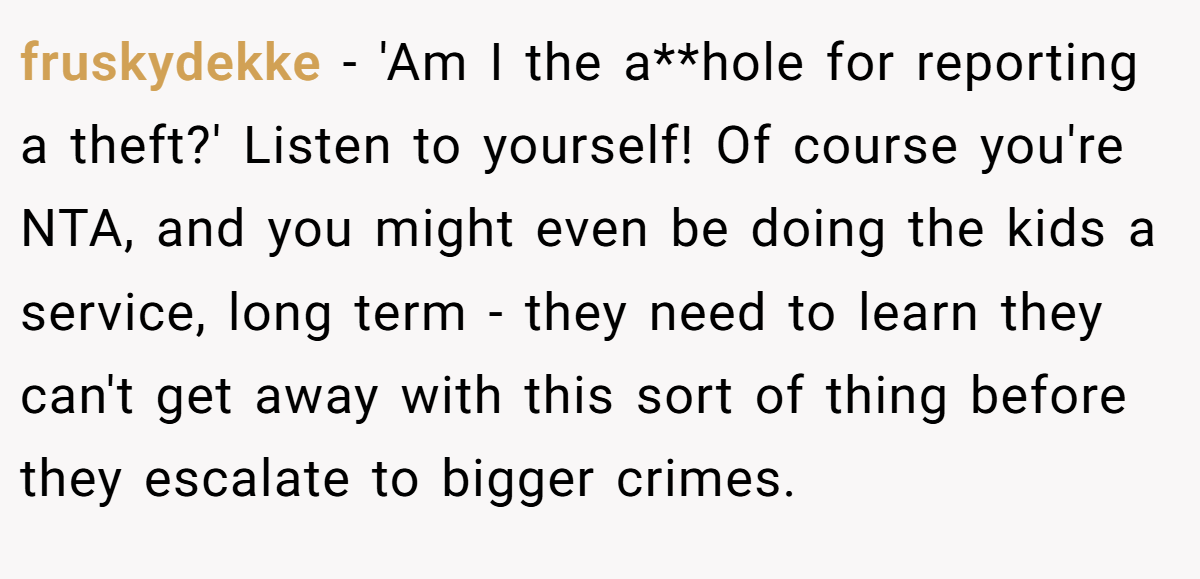 fruskydekke − 'Am I the a**hole for reporting a theft?' Listen to yourself! Of course you're NTA, and you might even be doing the kids a service, long term - they need to learn they can't get away with this sort of thing before they escalate to bigger crimes.