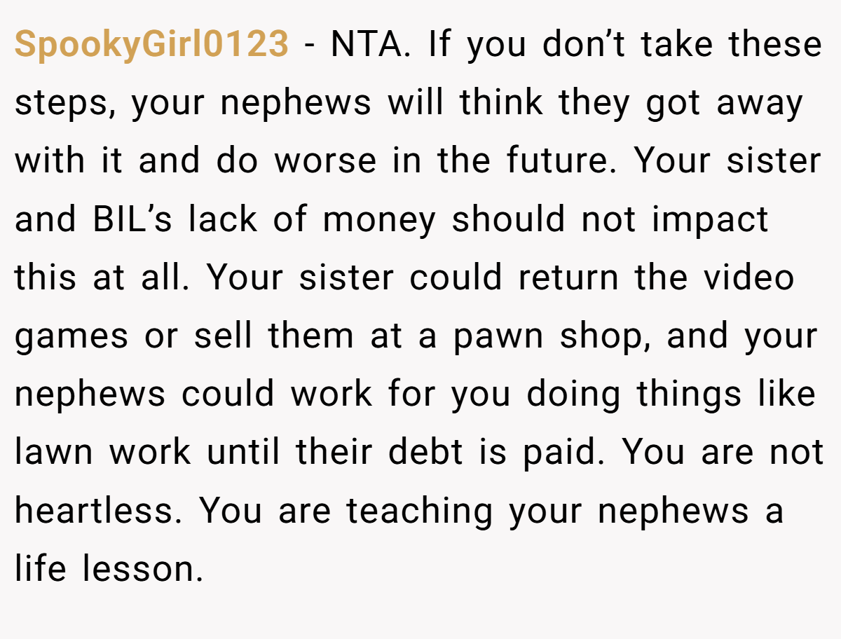 SpookyGirl0123 − NTA. If you don’t take these steps, your nephews will think they got away with it and do worse in the future. Your sister and BIL’s lack of money should not impact this at all. Your sister could return the video games or sell them at a pawn shop, and your nephews could work for you doing things like lawn work until their debt is paid. You are not heartless. You are teaching your nephews a life lesson.