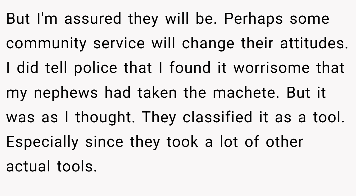 But I'm assured they will be. Perhaps some community service will change their attitudes. I did tell police that I found it worrisome that my nephews had taken the machete. But it was as I thought. They classified it as a tool. Especially since they took a lot of other actual tools.