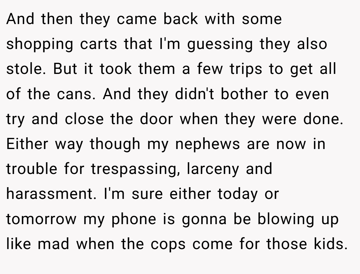 And then they came back with some shopping carts that I'm guessing they also stole. But it took them a few trips to get all of the cans. And they didn't bother to even try and close the door when they were done. Either way though my nephews are now in trouble for trespassing, larceny and harassment. I'm sure either today or tomorrow my phone is gonna be blowing up like mad when the cops come for those kids.