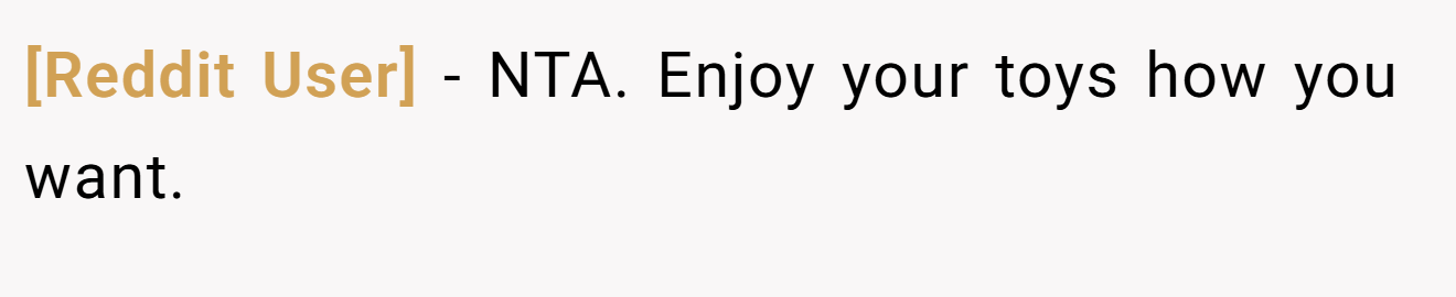 [Reddit User] - NTA. Enjoy your toys how you want.
