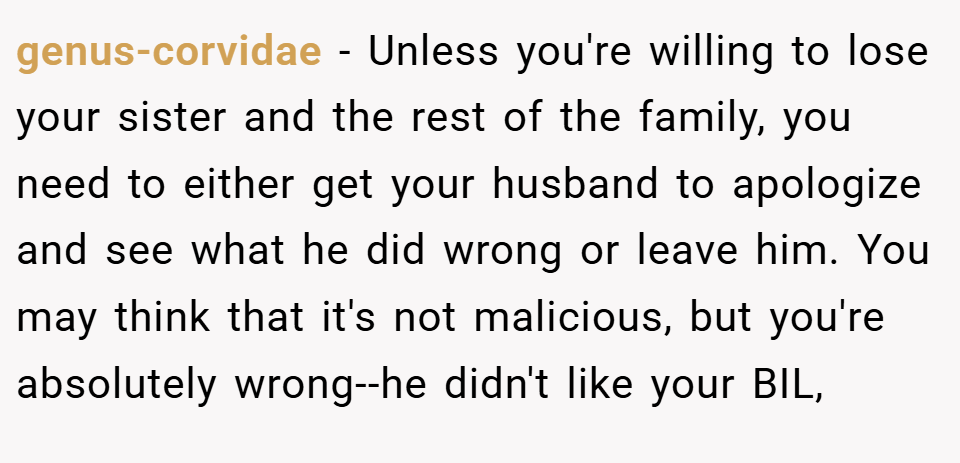 genus-corvidae − Unless you're willing to lose your sister and the rest of the family, you need to either get your husband to apologize and see what he did wrong or leave him. You may think that it's not malicious, but you're absolutely wrong--he didn't like your BIL,