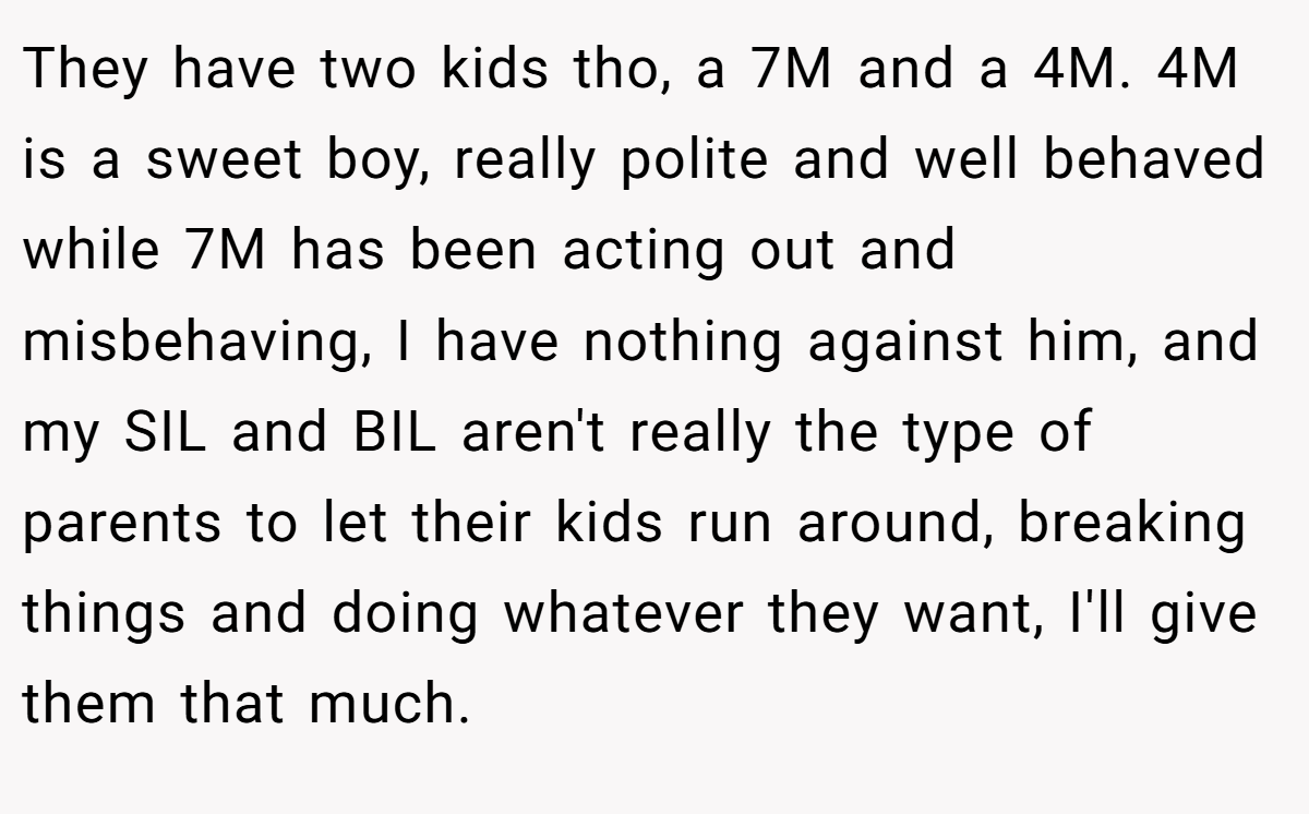 They have two kids tho, a 7M and a 4M. 4M is a sweet boy, really polite and well behaved while 7M has been acting out and misbehaving, I have nothing against him, and my SIL and BIL aren't really the type of parents to let their kids run around, breaking things and doing whatever they want, I'll give them that much.