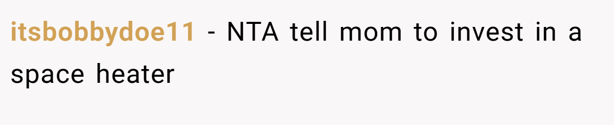 itsbobbydoe11 − NTA tell mom to invest in a space heater