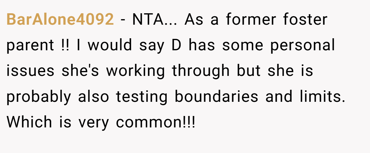BarAlone4092 − NTA... As a former foster parent !! I would say D has some personal issues she's working through but she is probably also testing boundaries and limits. Which is very common!!!