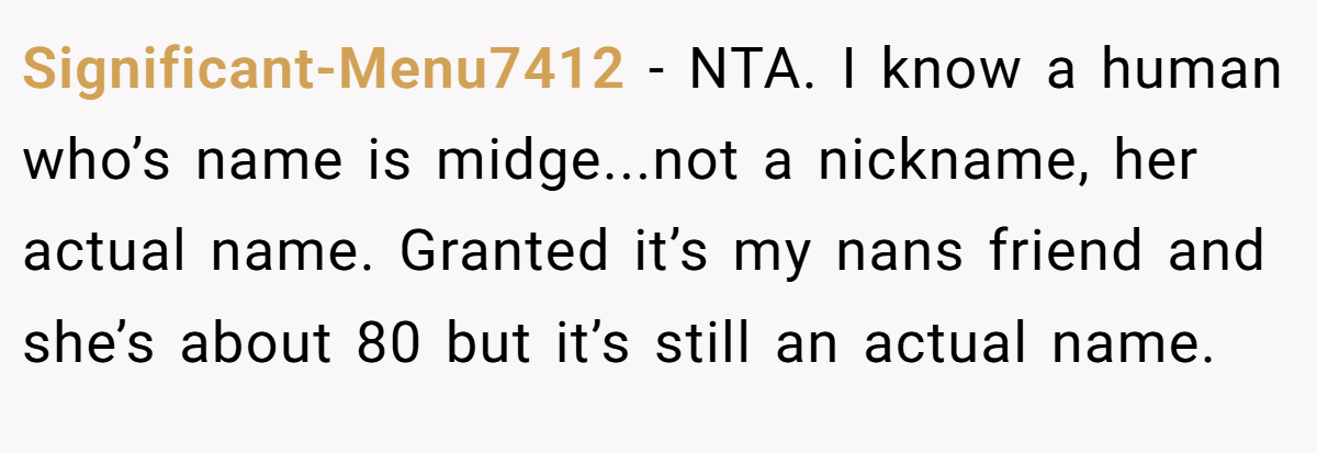 Significant-Menu7412 − NTA. I know a human who’s name is midge...not a nickname, her actual name. Granted it’s my nans friend and she’s about 80 but it’s still an actual name.