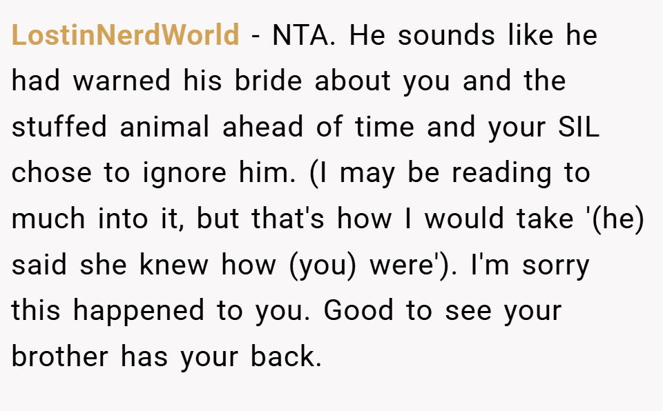 LostinNerdWorld − NTA. He sounds like he had warned his bride about you and the stuffed animal ahead of time and your SIL chose to ignore him. (I may be reading to much into it, but that's how I would take '(he) said she knew how (you) were'). I'm sorry this happened to you. Good to see your brother has your back.