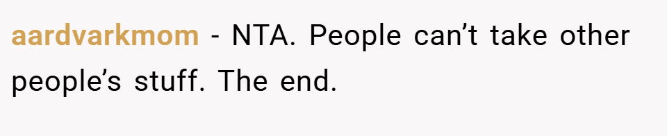 aardvarkmom − NTA. People can’t take other people’s stuff. The end.