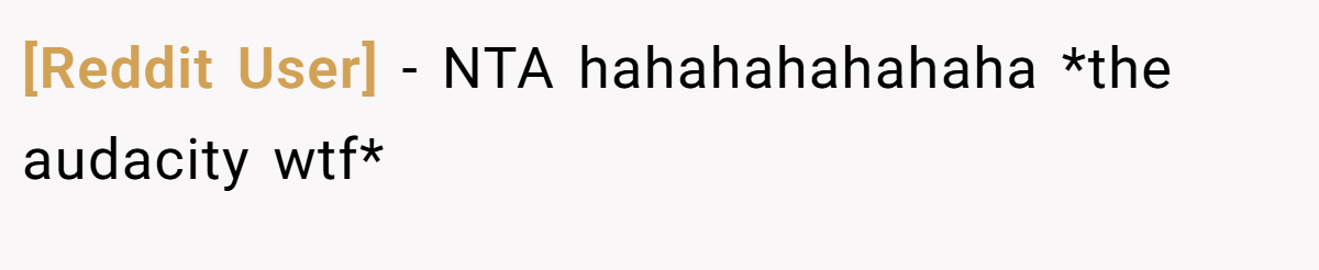 [Reddit User] - NTA hahahahahahaha *the audacity wtf*