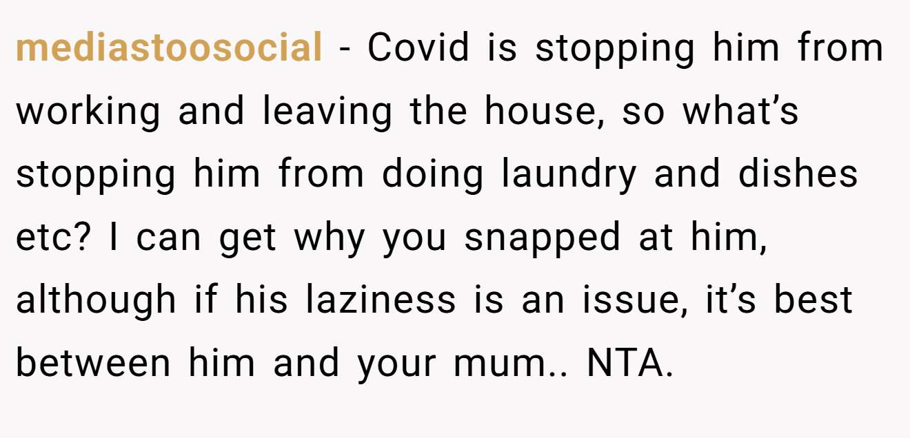 mediastoosocial − Covid is stopping him from working and leaving the house, so what’s stopping him from doing laundry and dishes etc? I can get why you snapped at him, although if his laziness is an issue, it’s best between him and your mum.. NTA.