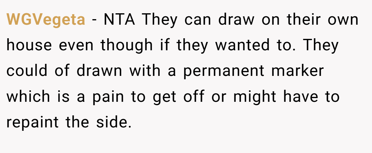 WGVegeta − NTA They can draw on their own house even though if they wanted to. They could of drawn with a permanent marker which is a pain to get off or might have to repaint the side.