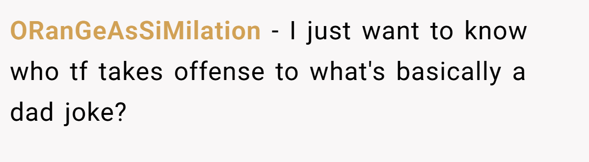 ORanGeAsSiMilation − I just want to know who tf takes offense to what's basically a dad joke?