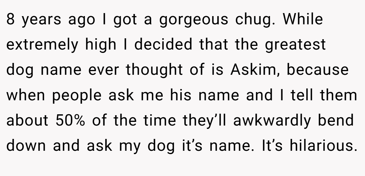 8 years ago I got a gorgeous chug. While extremely high I decided that the greatest dog name ever thought of is Askim, because when people ask me his name and I tell them about 50% of the time they’ll awkwardly bend down and ask my dog it’s name. It’s hilarious.