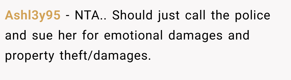 Ashl3y95 − NTA.. Should just call the police and sue her for emotional damages and property theft/damages.