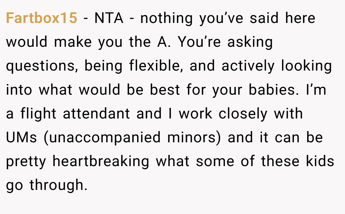 Fartbox15 − NTA - nothing you’ve said here would make you the A. You’re asking questions, being flexible, and actively looking into what would be best for your babies. I’m a flight attendant and I work closely with UMs (unaccompanied minors) and it can be pretty heartbreaking what some of these kids go through.