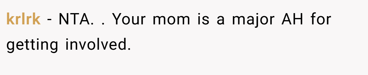 krlrk − NTA. ​. Your mom is a major AH for getting involved.
