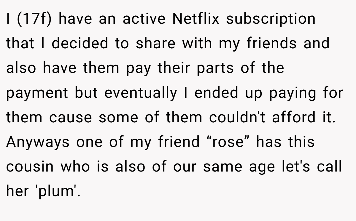 I (17f) have an active Netflix subscription that I decided to share with my friends and also have them pay their parts of the payment but eventually I ended up paying for them cause some of them couldn't afford it. Anyways one of my friend “rose” has this cousin who is also of our same age let's call her 'plum'.