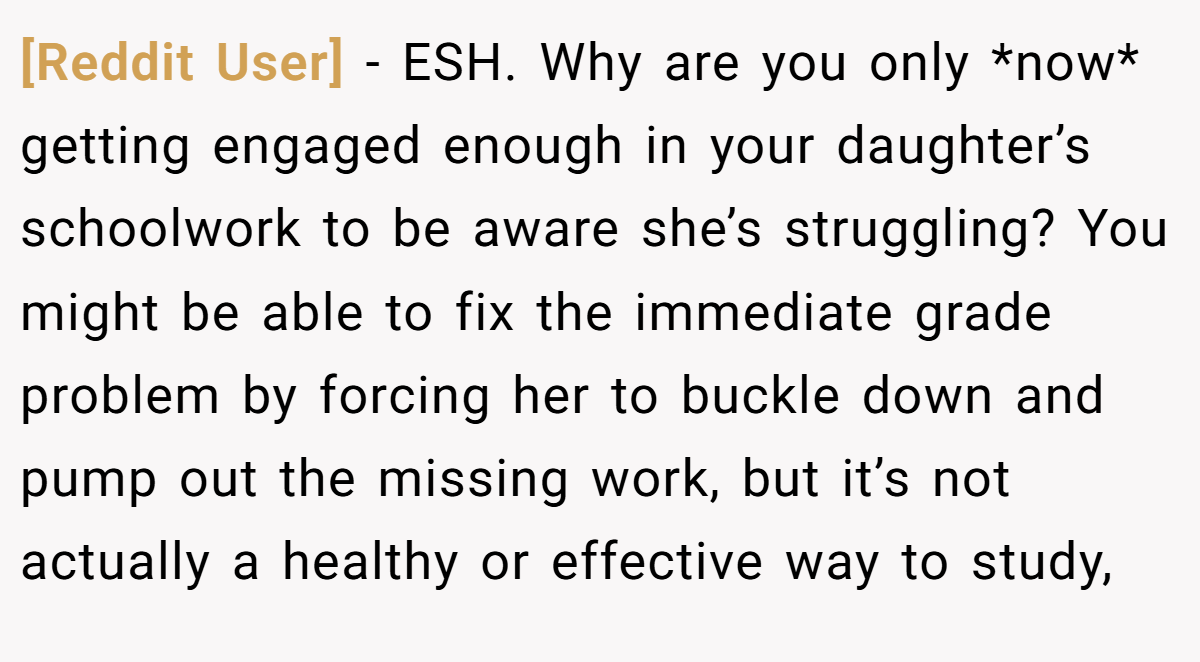 [Reddit User] - ESH. Why are you only *now* getting engaged enough in your daughter’s schoolwork to be aware she’s struggling? You might be able to fix the immediate grade problem by forcing her to buckle down and pump out the missing work, but it’s not actually a healthy or effective way to study,