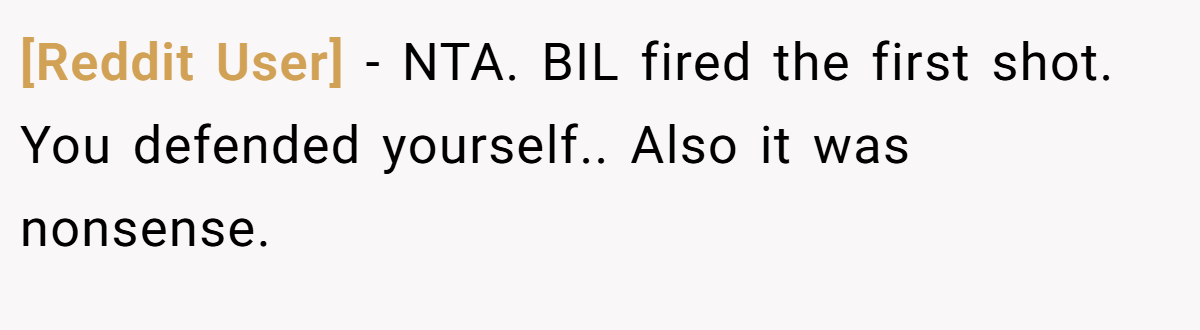 [Reddit User] - NTA. BIL fired the first shot. You defended yourself.. Also it was nonsense.