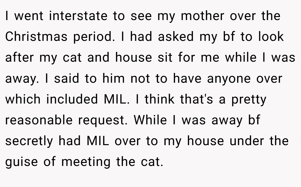 I went interstate to see my mother over the Christmas period. I had asked my bf to look after my cat and house sit for me while I was away. I said to him not to have anyone over which included MIL. I think that's a pretty reasonable request. While I was away bf secretly had MIL over to my house under the guise of meeting the cat.