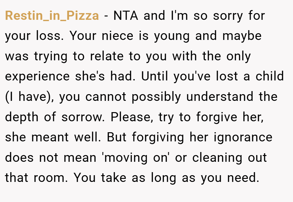 Restin_in_Pizza − NTA and I'm so sorry for your loss. Your niece is young and maybe was trying to relate to you with the only experience she's had. Until you've lost a child (I have), you cannot possibly understand the depth of sorrow. Please, try to forgive her, she meant well. But forgiving her ignorance does not mean 'moving on' or cleaning out that room. You take as long as you need.