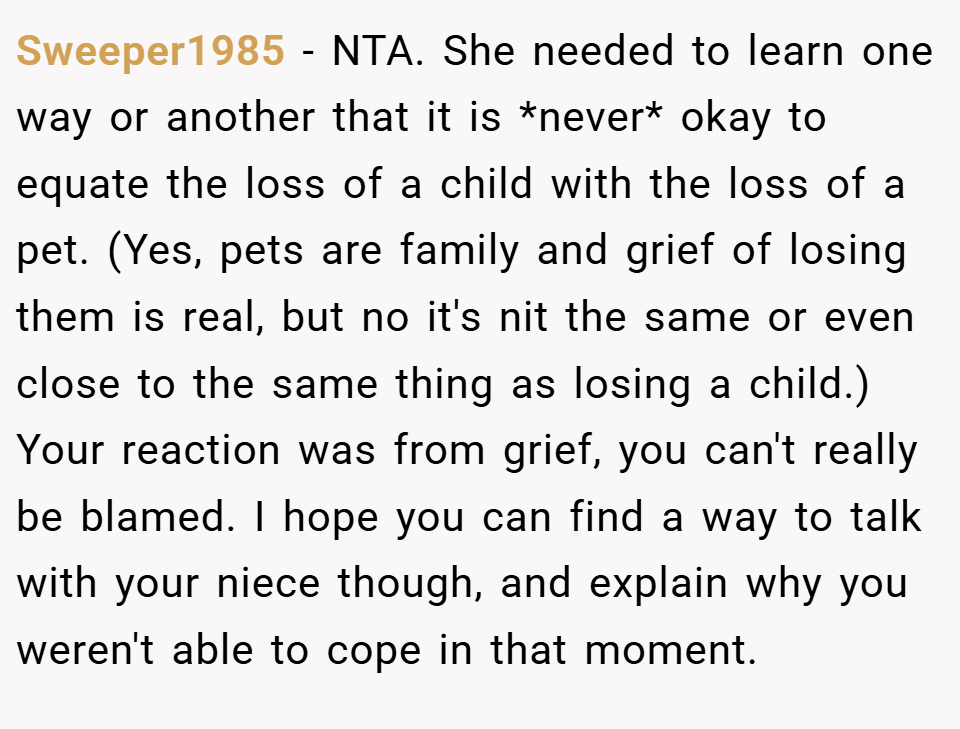Sweeper1985 − NTA. She needed to learn one way or another that it is *never* okay to equate the loss of a child with the loss of a pet. (Yes, pets are family and grief of losing them is real, but no it's nit the same or even close to the same thing as losing a child.) Your reaction was from grief, you can't really be blamed. I hope you can find a way to talk with your niece though, and explain why you weren't able to cope in that moment.