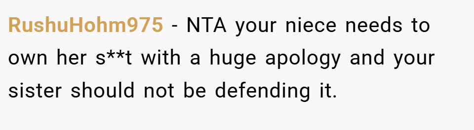 RushuHohm975 − NTA your niece needs to own her s**t with a huge apology and your sister should not be defending it.