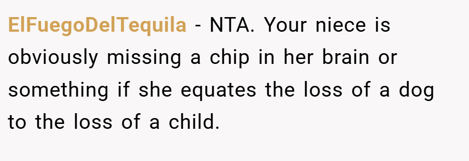 ElFuegoDelTequila − NTA. Your niece is obviously missing a chip in her brain or something if she equates the loss of a dog to the loss of a child.