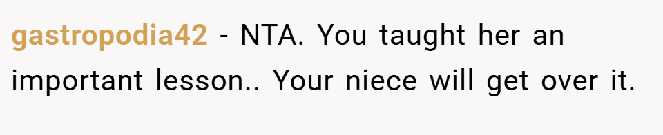 gastropodia42 − NTA. You taught her an important lesson.. Your niece will get over it.