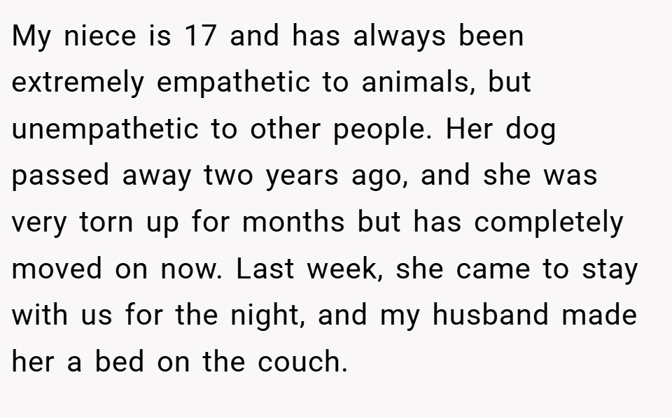 My niece is 17 and has always been extremely empathetic to animals, but unempathetic to other people. Her dog passed away two years ago, and she was very torn up for months but has completely moved on now. Last week, she came to stay with us for the night, and my husband made her a bed on the couch.