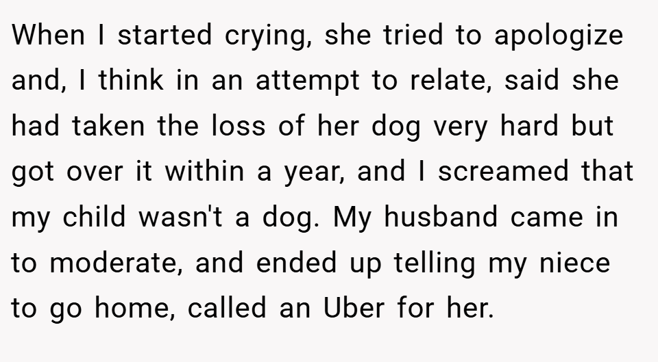 When I started crying, she tried to apologize and, I think in an attempt to relate, said she had taken the loss of her dog very hard but got over it within a year, and I screamed that my child wasn't a dog. My husband came in to moderate, and ended up telling my niece to go home, called an Uber for her.