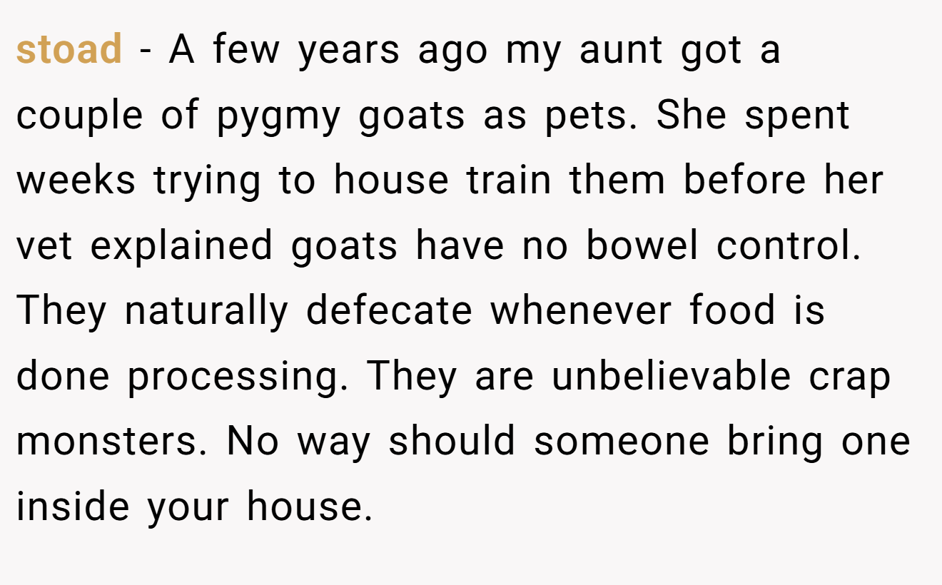 stoad - A few years ago my aunt got a couple of pygmy goats as pets. She spent weeks trying to house train them before her vet explained goats have no bowel control. They naturally defecate whenever food is done processing. They are unbelievable crap monsters. No way should someone bring one inside your house.