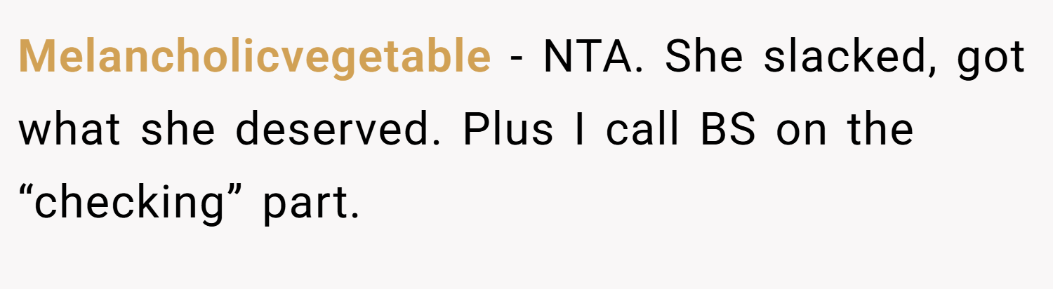 Melancholicvegetable − NTA. She slacked, got what she deserved. Plus I call BS on the “checking” part.