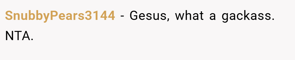SnubbyPears3144 − Gesus, what a gackass. NTA.