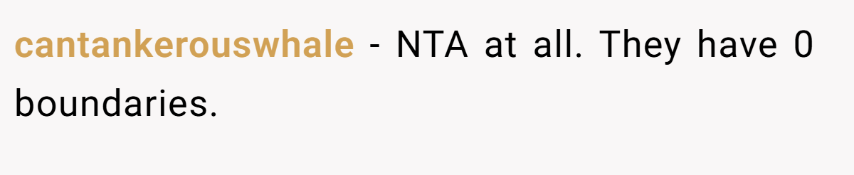 cantankerouswhale − NTA at all. They have 0 boundaries.