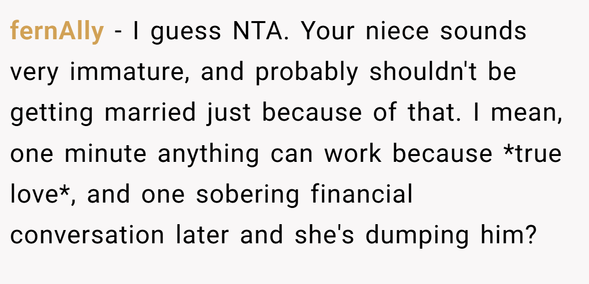 fernAlly − I guess NTA. Your niece sounds very immature, and probably shouldn't be getting married just because of that. I mean, one minute anything can work because *true love*, and one sobering financial conversation later and she's dumping him?