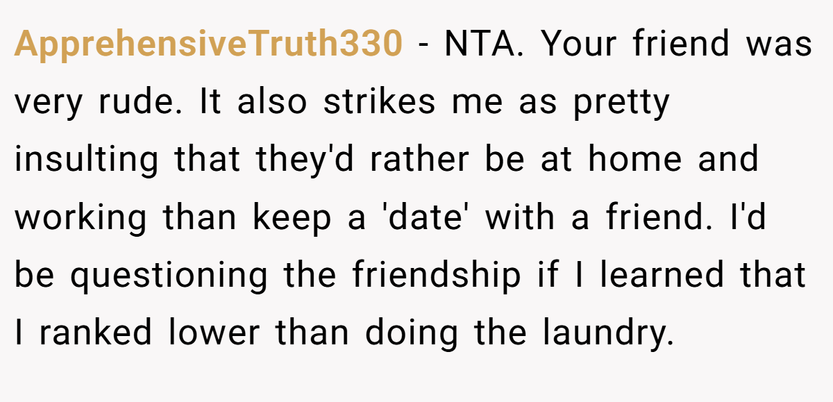 ApprehensiveTruth330 − NTA. Your friend was very rude. It also strikes me as pretty insulting that they'd rather be at home and working than keep a 'date' with a friend. I'd be questioning the friendship if I learned that I ranked lower than doing the laundry.