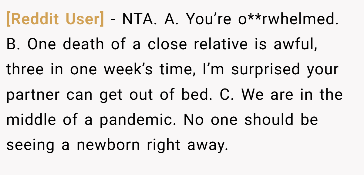 [Reddit User] − NTA. A. You’re o**rwhelmed. B. One death of a close relative is awful, three in one week’s time, I’m surprised your partner can get out of bed. C. We are in the middle of a pandemic. No one should be seeing a newborn right away.