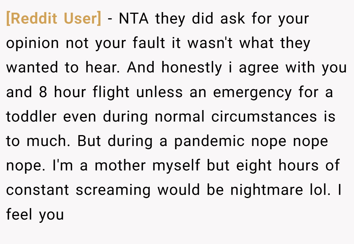 [Reddit User] − NTA they did ask for your opinion not your fault it wasn't what they wanted to hear. And honestly i agree with you and 8 hour flight unless an emergency for a toddler even during normal circumstances is to much. But during a pandemic nope nope nope. I'm a mother myself but eight hours of constant screaming would be nightmare lol. I feel you