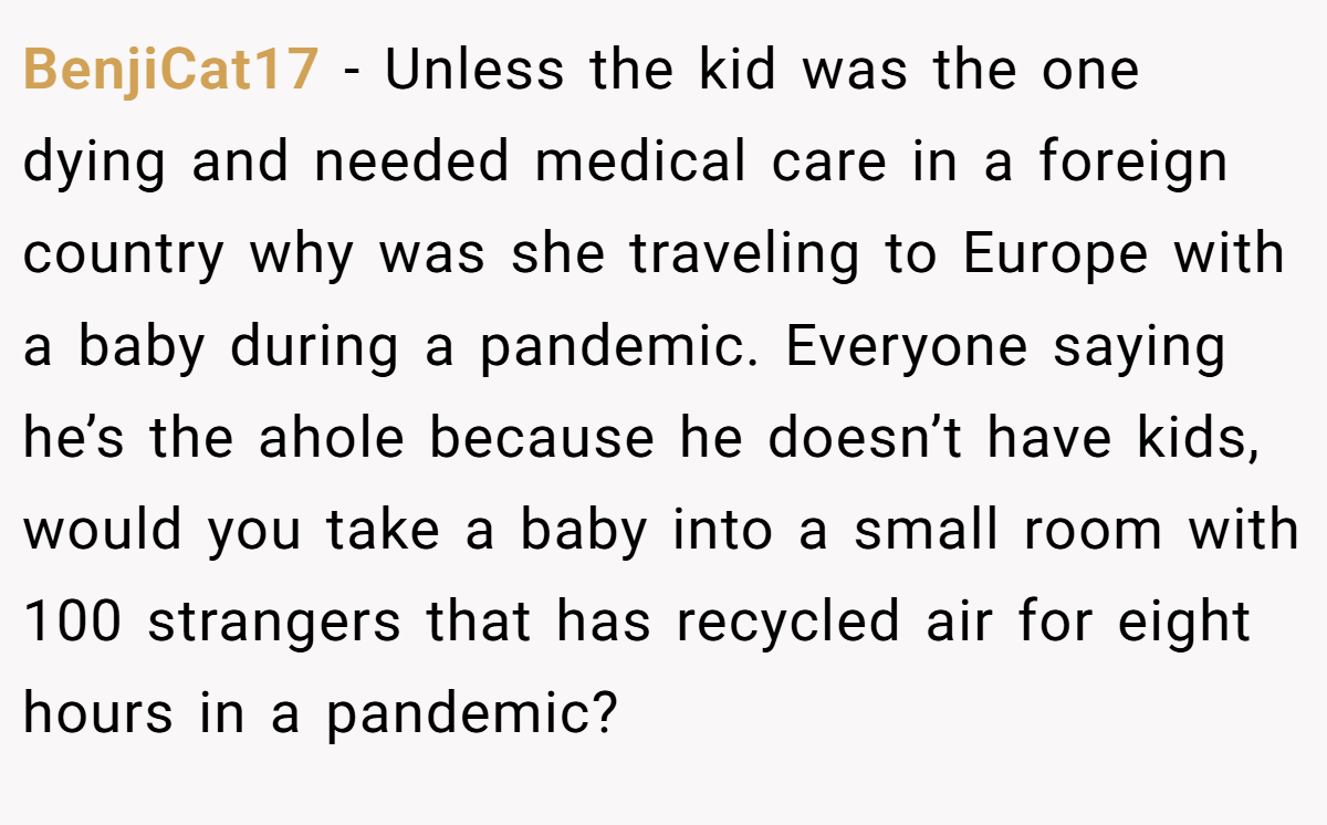 BenjiCat17 − Unless the kid was the one dying and needed medical care in a foreign country why was she traveling to Europe with a baby during a pandemic. Everyone saying he’s the ahole because he doesn’t have kids, would you take a baby into a small room with 100 strangers that has recycled air for eight hours in a pandemic?