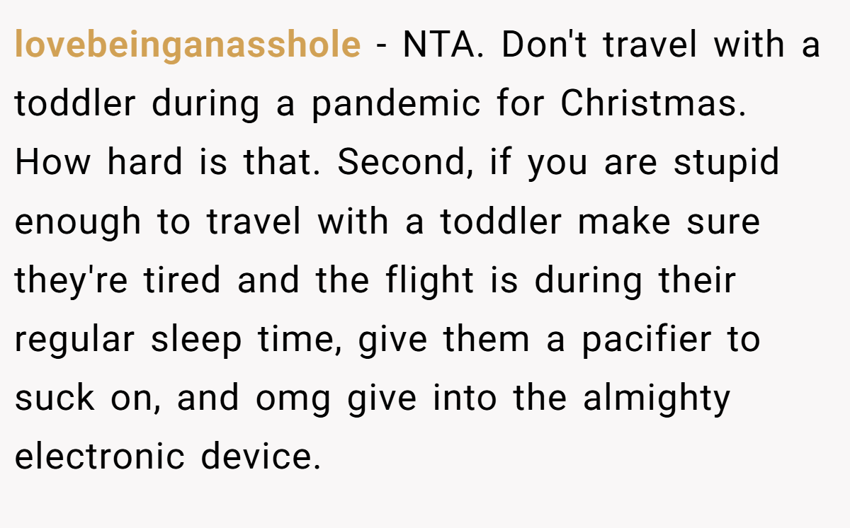 lovebeinganasshole − NTA. Don't travel with a toddler during a pandemic for Christmas. How hard is that. Second, if you are stupid enough to travel with a toddler make sure they're tired and the flight is during their regular sleep time, give them a pacifier to suck on, and omg give into the almighty electronic device.
